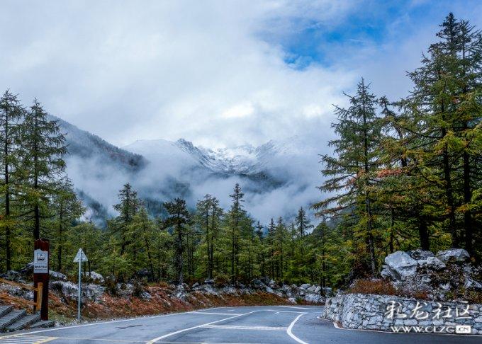 家长怀疑，我早恋怎么办？游戏画面