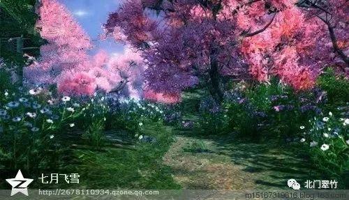 虫虫助手下载