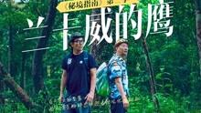 食肉植物森林逃生