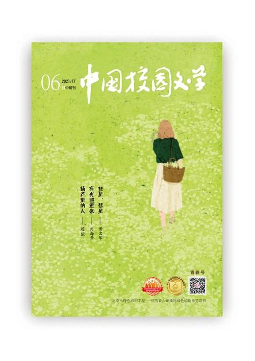 迷你拉力赛车