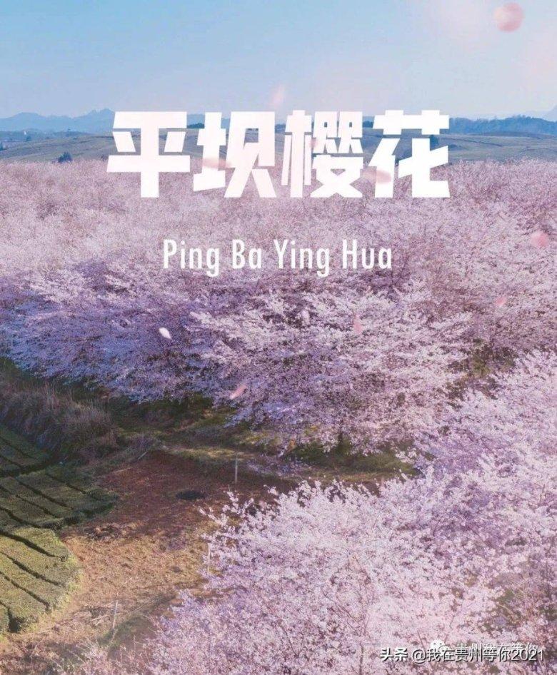 大庆乘风警方破获一起帮助信息网络犯罪活动案件