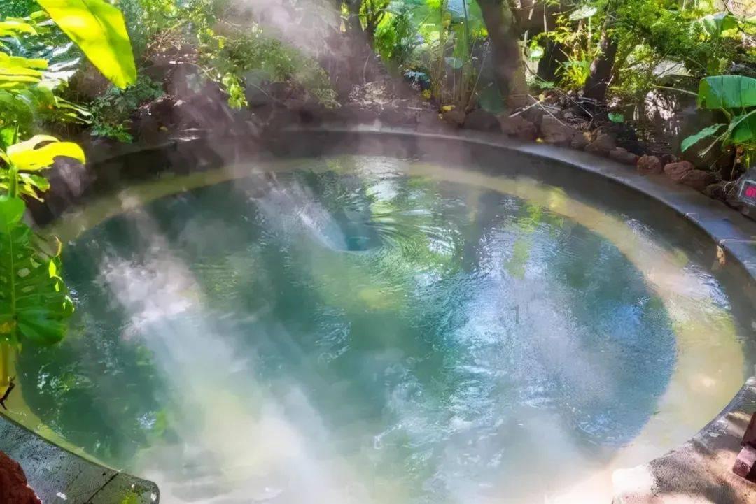 十二星座中贩卖情怀，最会赚人眼泪的星座都有谁？游戏画面