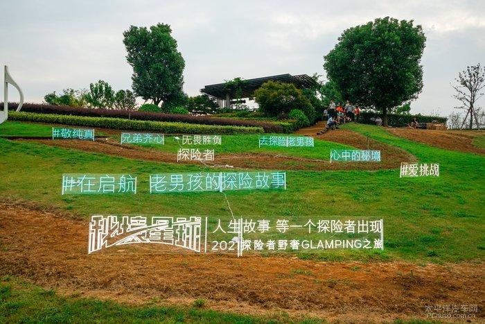 逃离橡子树种植地