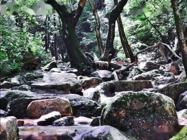尽在
