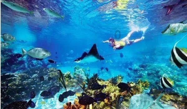 打造“世界电瓷之都”!湖南省电瓷电器行业商会年度总结部署