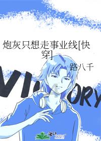 新高达破坏者