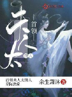 宝可梦探险寻宝