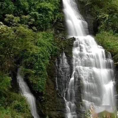 霍比特人救援