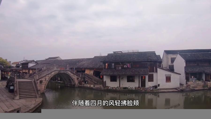 破碎的动物图形3