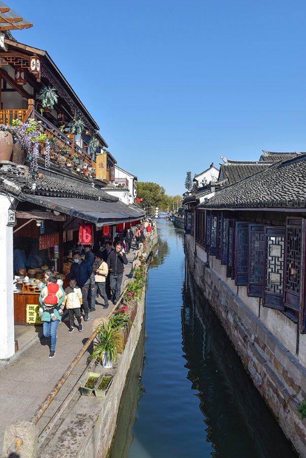 杨艺神话破灭!天津女排接应瘸腿走不远!天津凸显后备短缺问题!